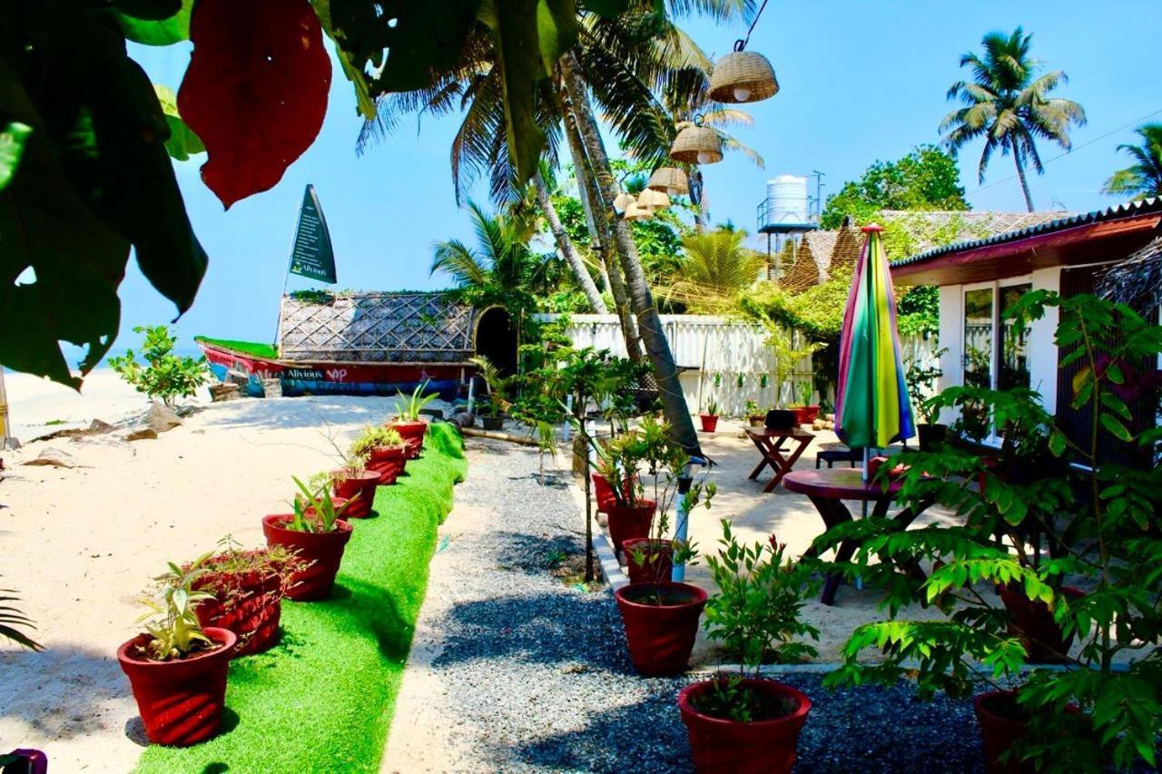 Alivious Homestay