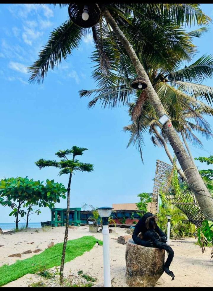 Alivious Alappuzha