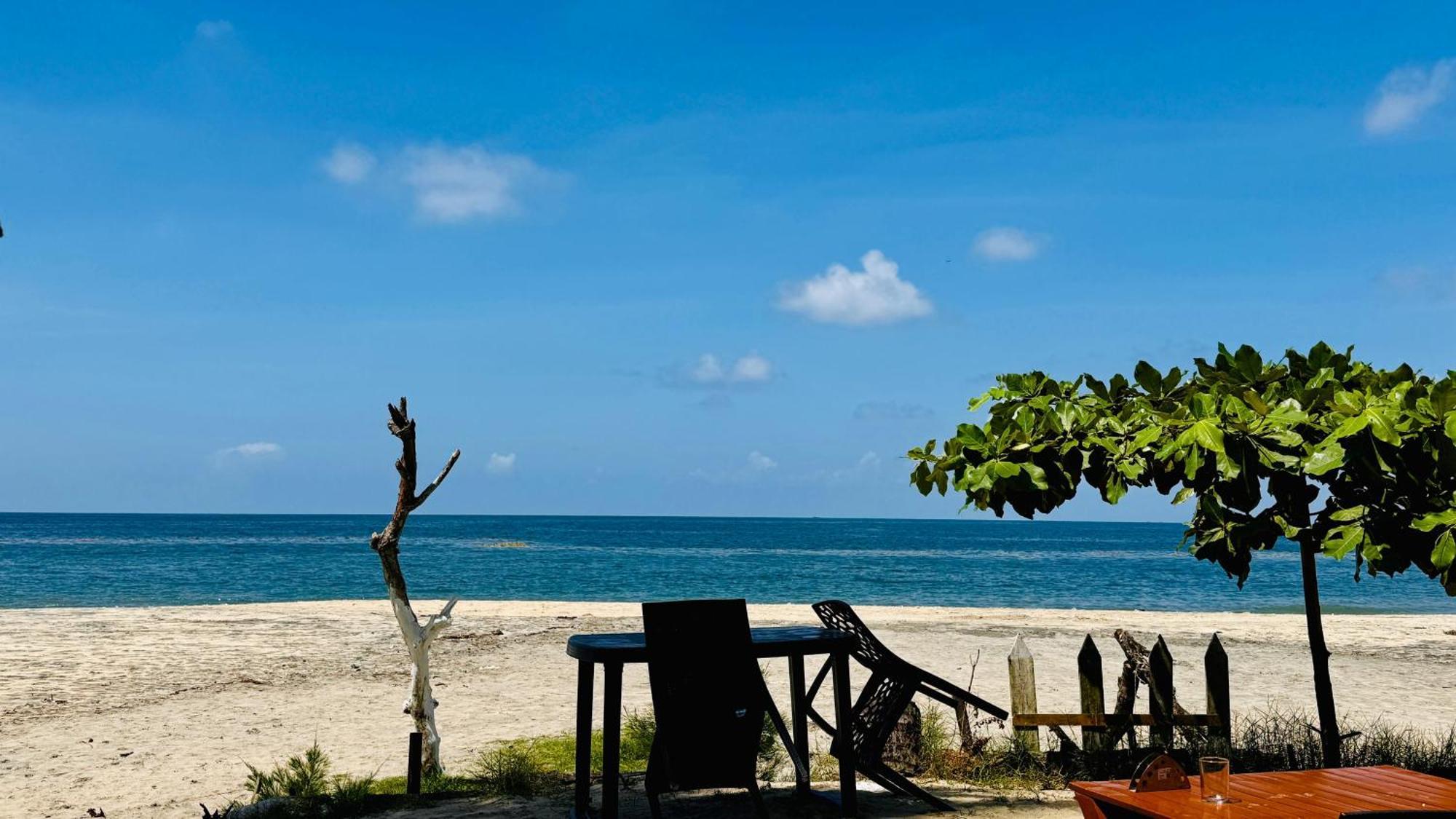 Homestay Alivious Alappuzha